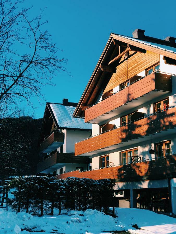 Dachstein View Ski Apartment Гозау Экстерьер фото