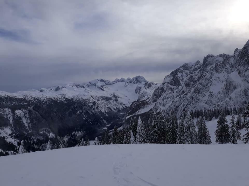 Dachstein View Ski Apartment Гозау Экстерьер фото