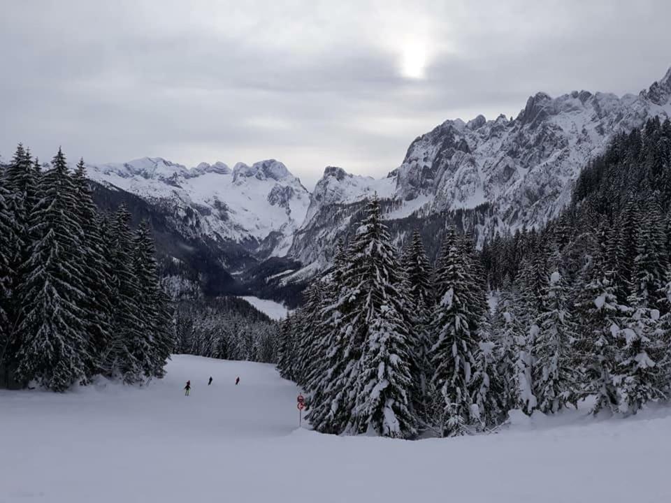 Dachstein View Ski Apartment Гозау Экстерьер фото