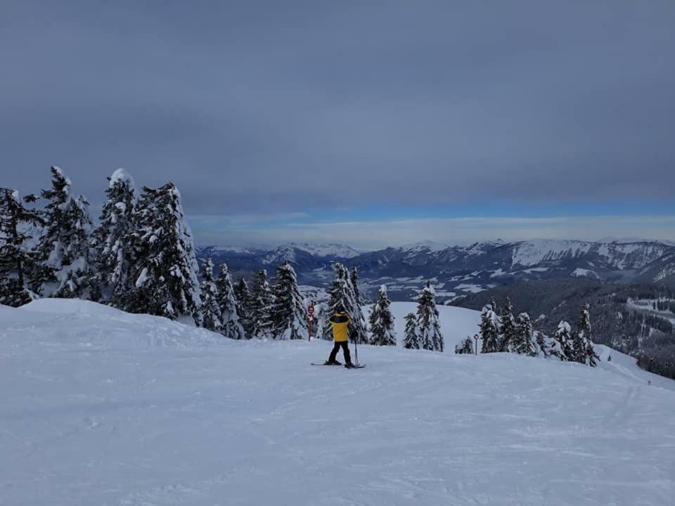 Dachstein View Ski Apartment Гозау Экстерьер фото