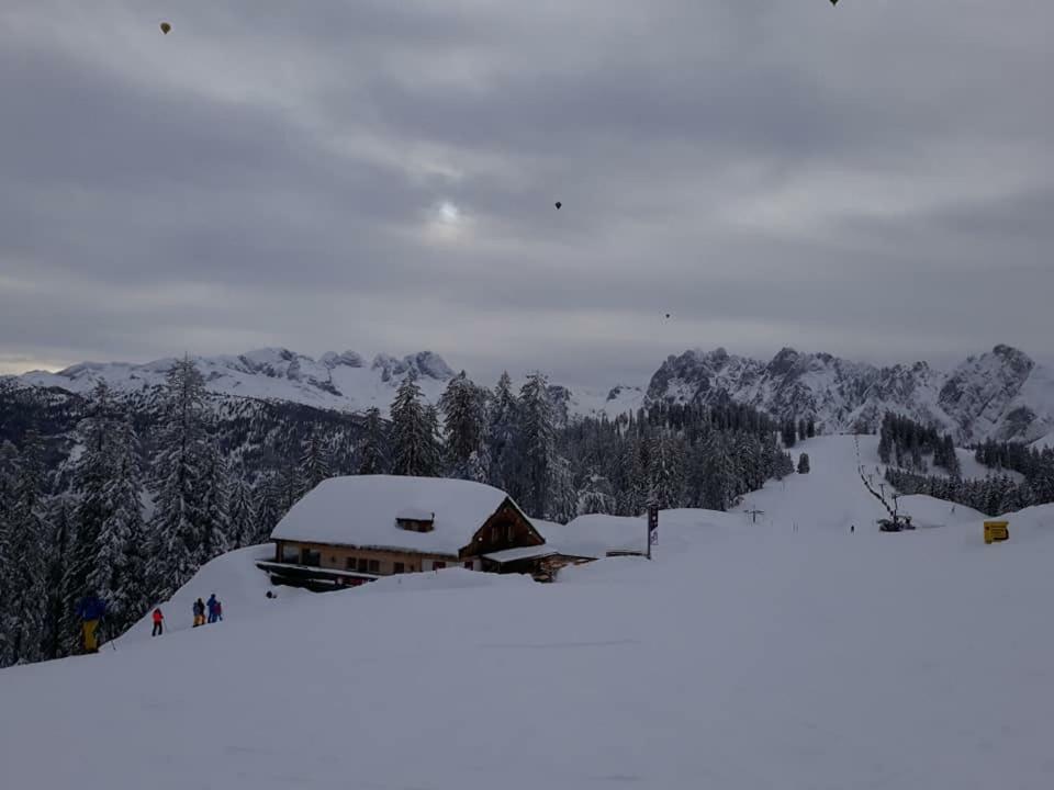Dachstein View Ski Apartment Гозау Экстерьер фото